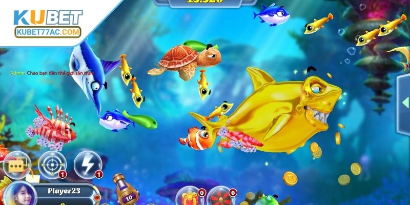 Các phòng game và cấp độ dành cho ngư thủ